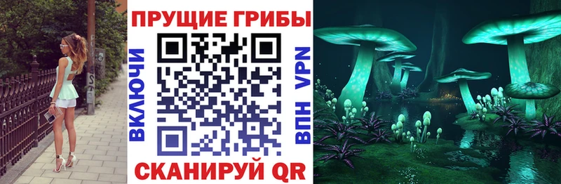 Псилоцибиновые грибы прущие грибы наркотики Канск